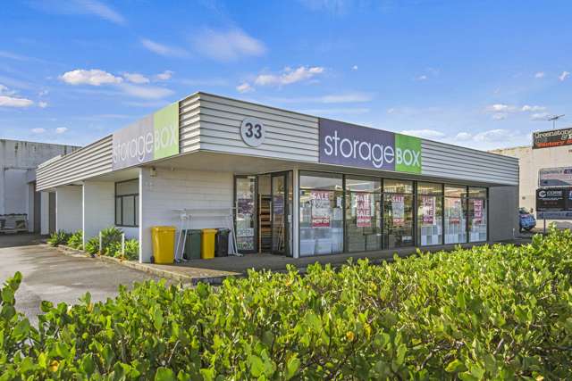 33 Veronica Street New Lynn_4