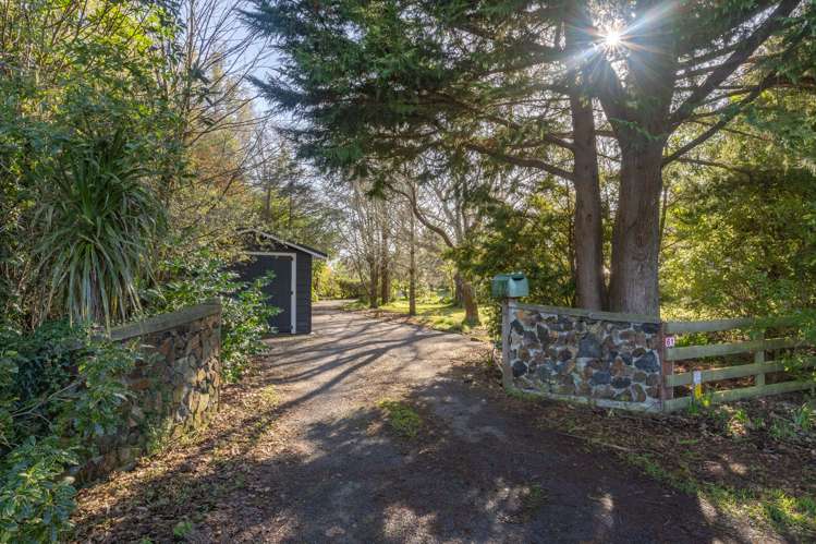 61 Udy Street Greytown_19