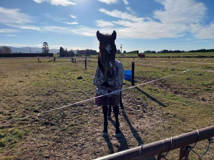 8 Minnie Street Waimate_12