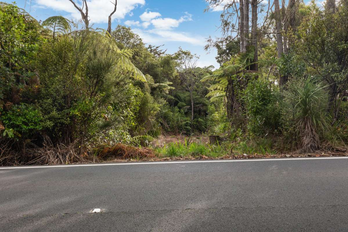 254 Piha Road_4