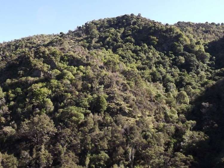 704 Mangatarere Valley Road Carterton_6