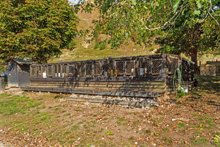 3643 Wharekopae Road Rere_21