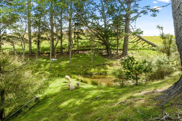 712 Oruawharo Road Oruawharo_41