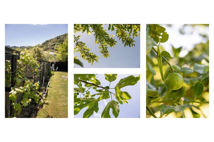 266 Lakes Boulevard Pyes Pa_24