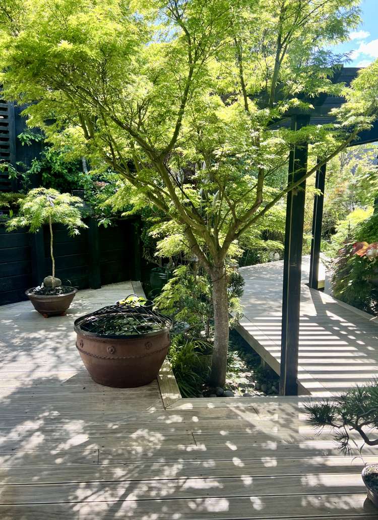 6 Istana Place Britannia Heights_1