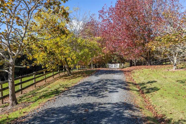 171 Annandale Road Taupaki_44
