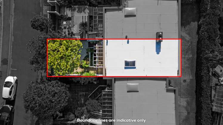 17 John Stokes Terrace Remuera_21