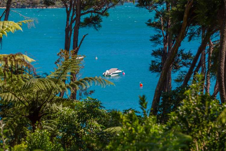 5 Broughton Bay Road Kenepuru Sound_8