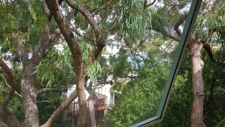 8/33 Hania Street Mount Victoria_17