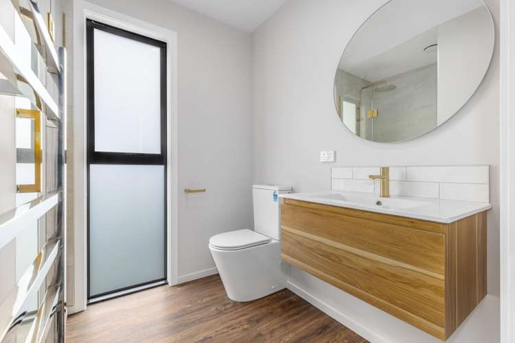 21A Ferguson Street Levin_10