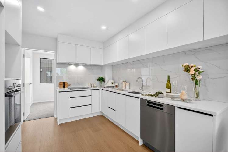 Lots 1-8/239 Porchester Road_2