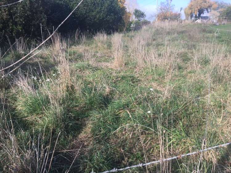 Arapuni Road Arapuni_9