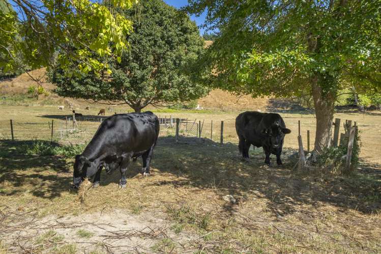 174 Thorpe-Orinoco Road Ngatimoti_20