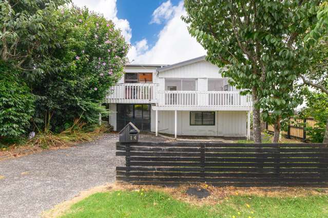 14 Laurel Street Mount Albert_1