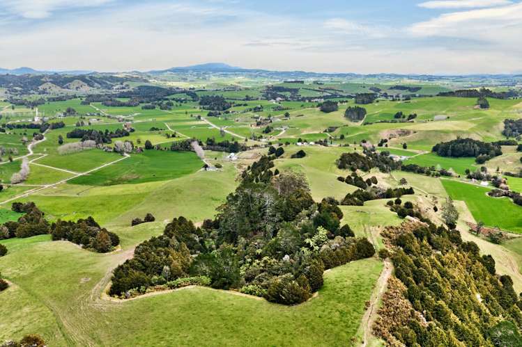 80 Johnson Road Hukerenui_2