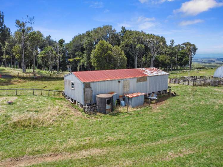 870 Mangati Road Pirongia_24