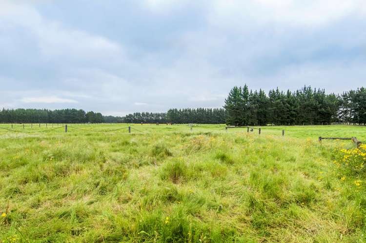 703 Robinsons Road Rolleston_25