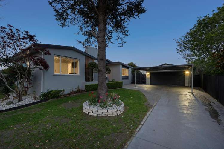 101 Ward Street Waverley_43