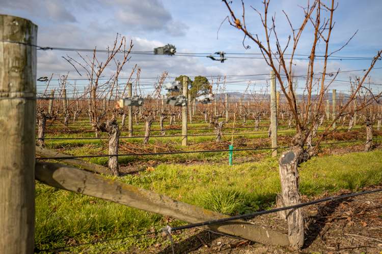 21 Burnside Avenue Springlands_15