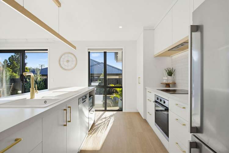 22 Canary Pl Stoke_2