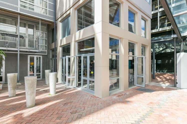 91/43 Mulgrave Street Thorndon_11