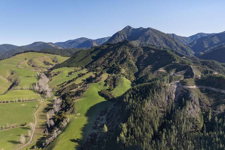 Graham Valley Road Motueka Valley_8