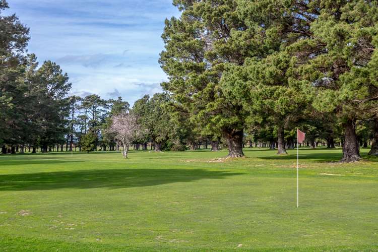 23 Viles Road Featherston_8