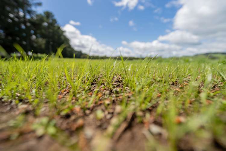 120 Wetlands Road Te Anau_17