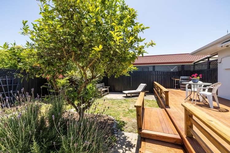 5/7 McGrath Street Napier South_11
