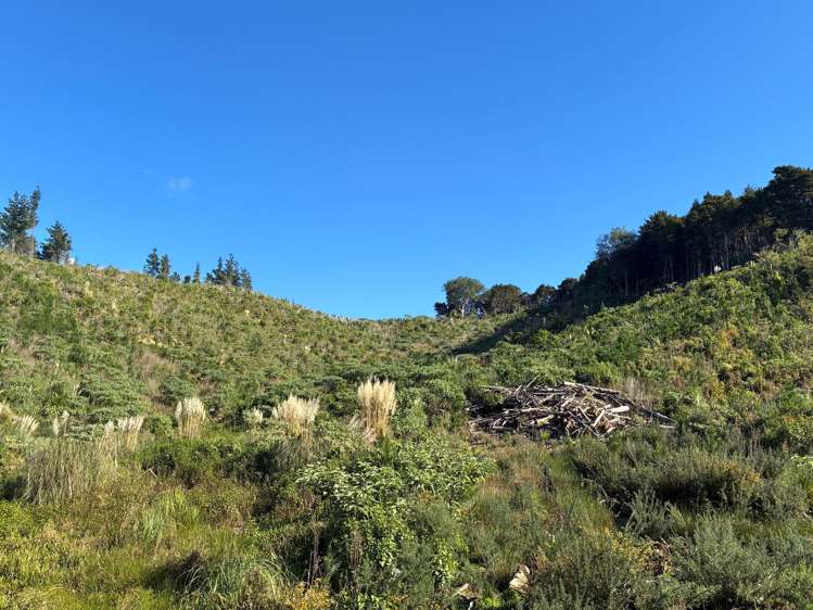 Taraunui Road Parua Bay_1