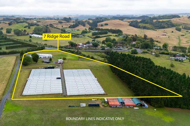 7 Ridge Road Tuakau_1