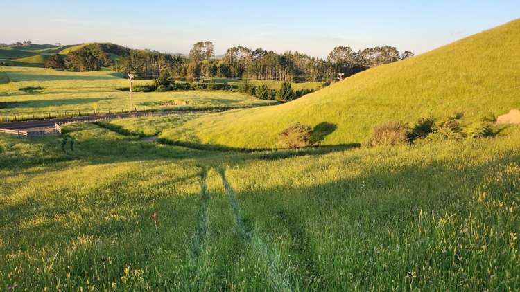 964 Tarata Road Kaimata_7