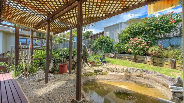 104 Hays Place Thames_19