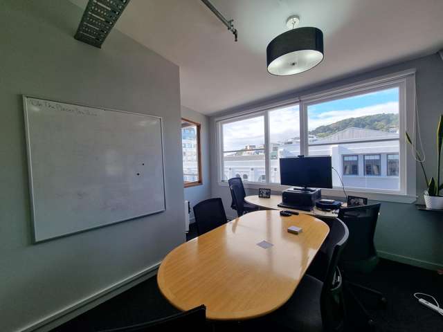 3/2-12 Allen Street Te Aro_2
