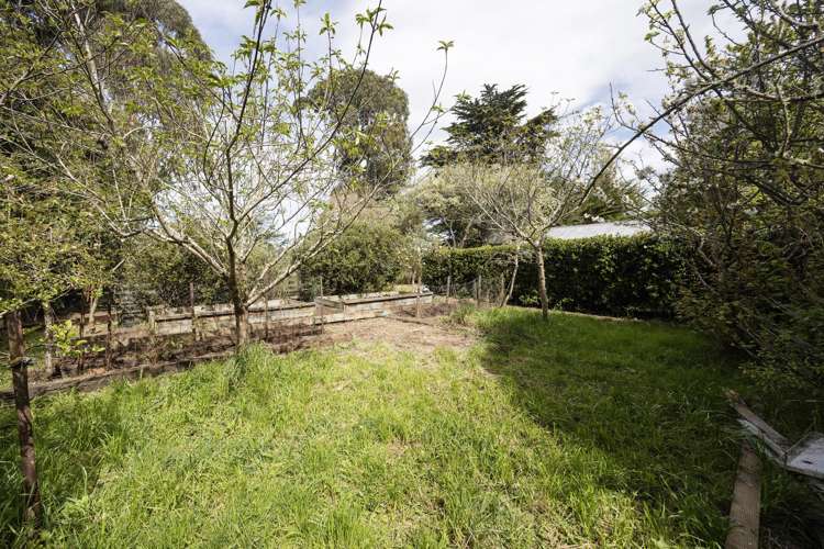 13 Norwich Street Hampden_36