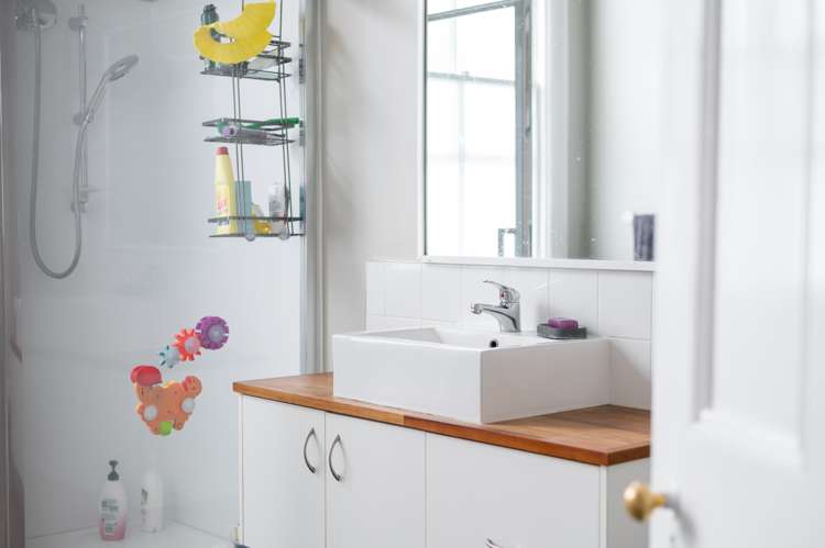 77 Whitaker Street Te Aroha_8