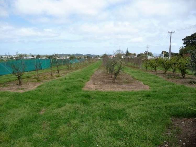 165a State Highway 1 Awanui_12