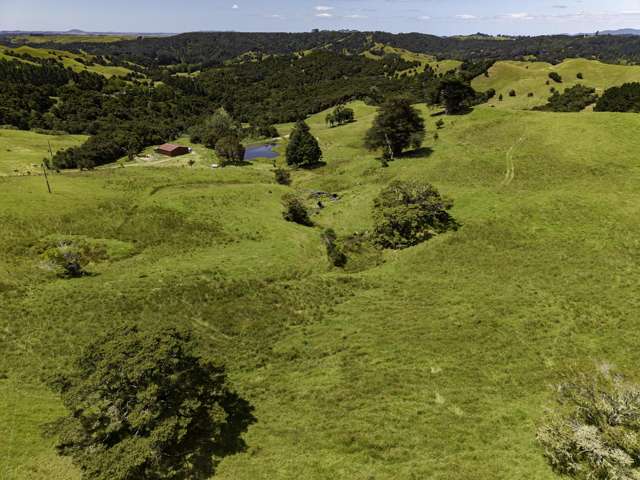 770 Fisher-Riley Road Kaingaroa_2