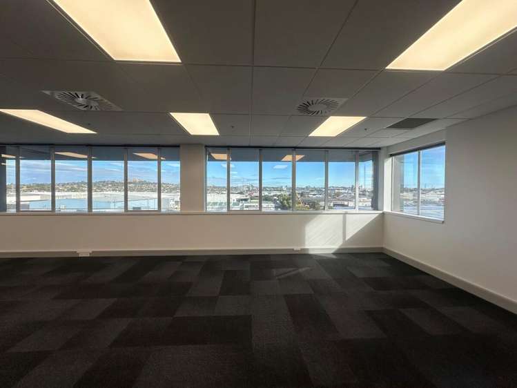 45 O'Rorke Road Penrose_2