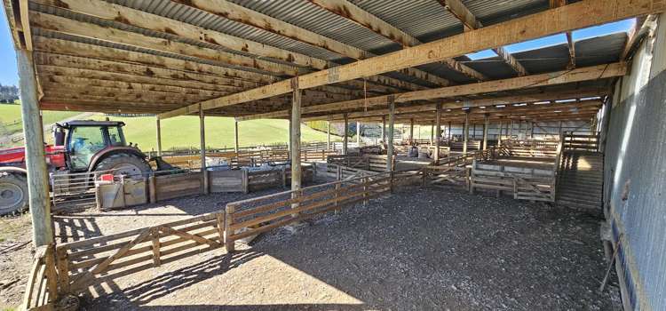 169 Charters Road Waikoikoi_18