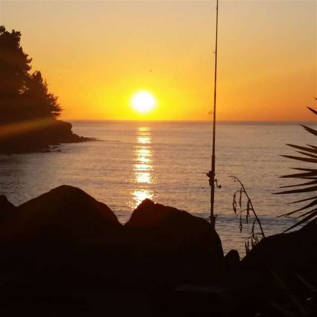 20 Richmond Street Waimataitai_1