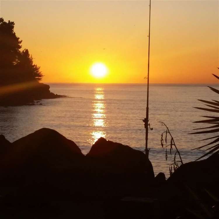 20 Richmond Street Waimataitai_1