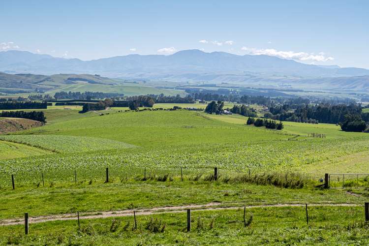 330 Wilfred Road Albury_5