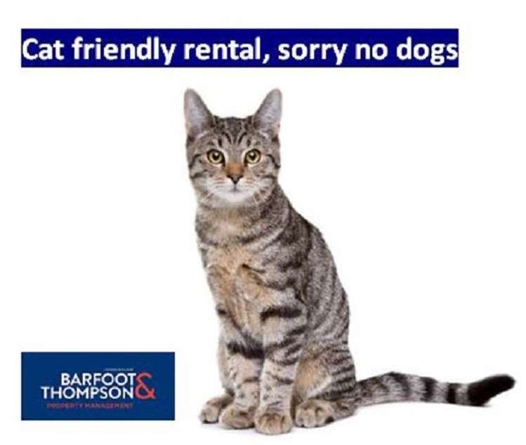 2/39 Eversleigh Road Belmont_11