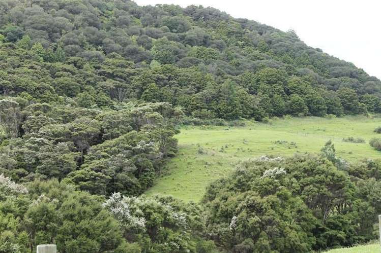 243c Mountain Road Maungaturoto_13