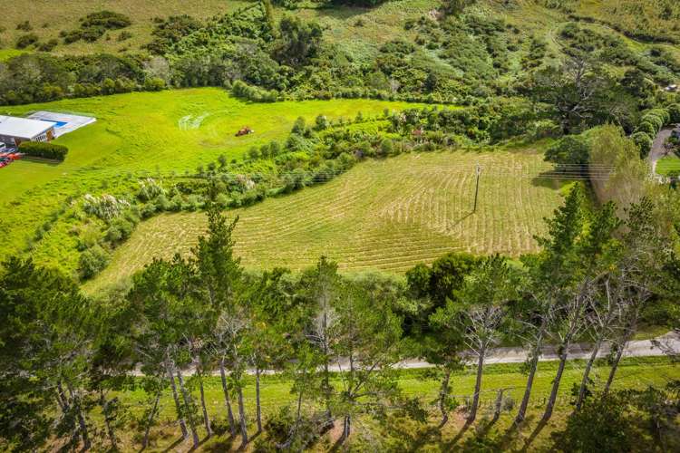 1/105F Newman Road Silverdale_11