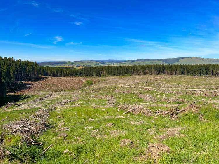 194 Beaumont Station Road Ohai_7