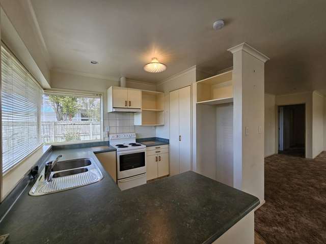 17 Lansdowne Street Mayfield_2