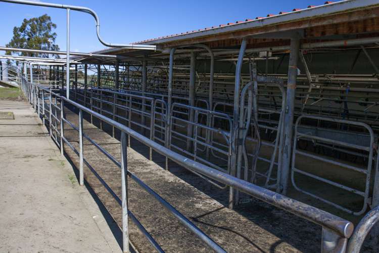 17 Tongue Road Balclutha_7