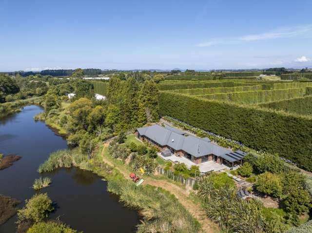 62 Elmwood Road Aongatete_2